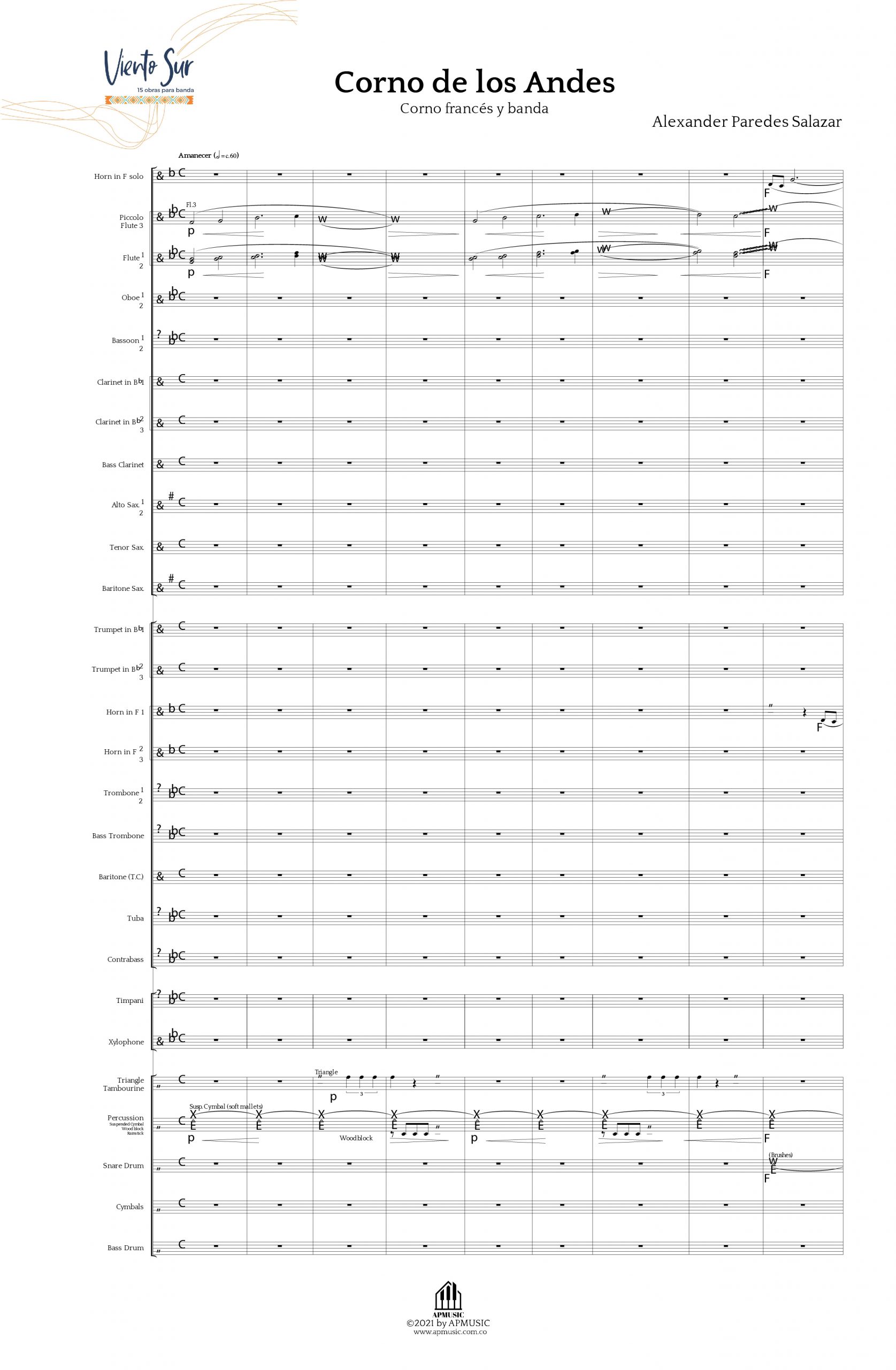 11. Corno de los Andes - Imagen 2