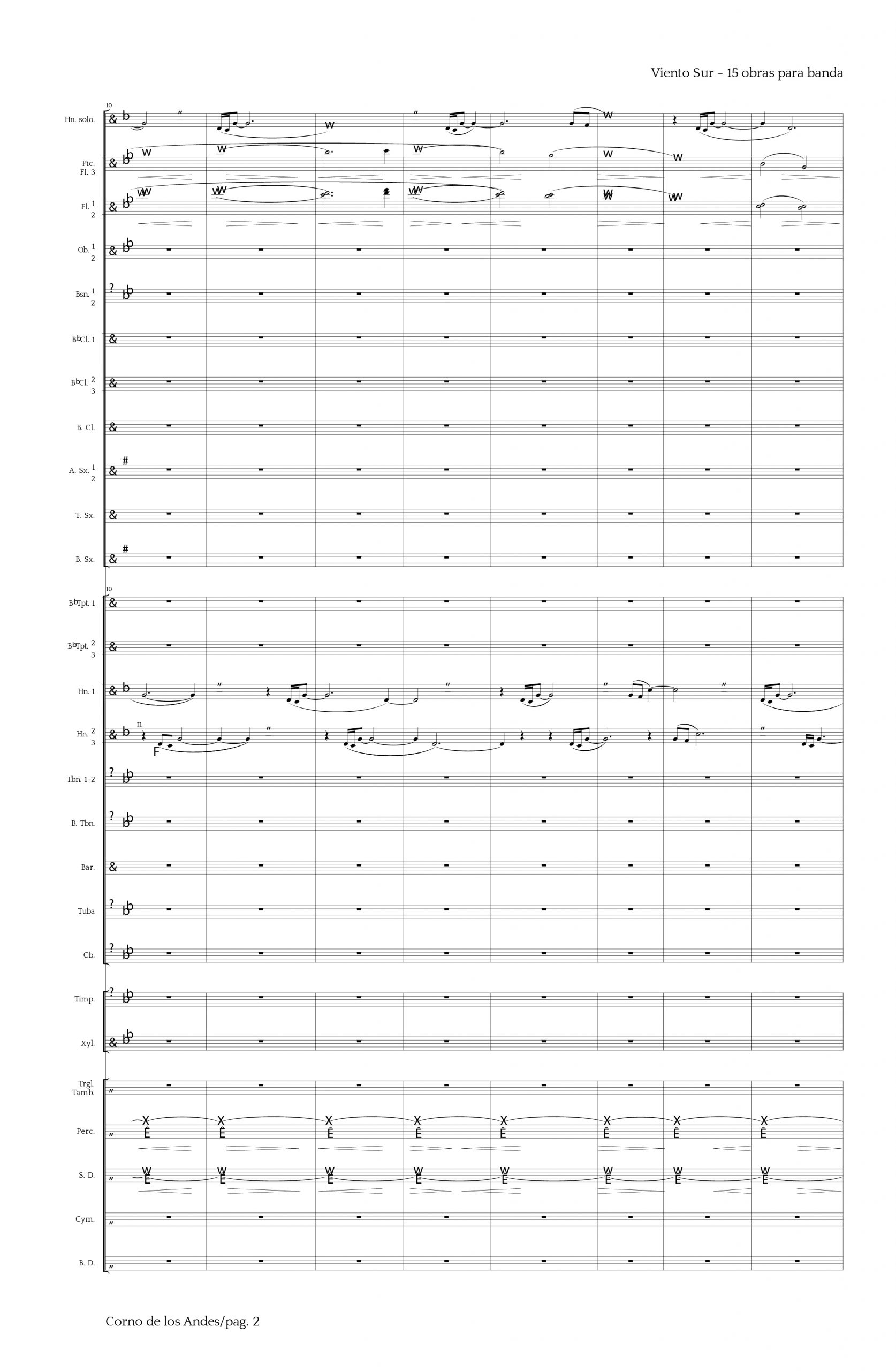 11. Corno de los Andes - Imagen 3